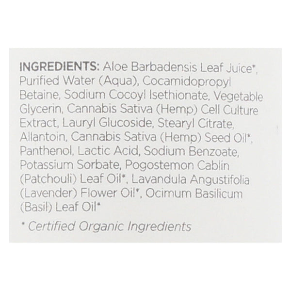 Andalou Naturals Shower Gel Patchouli + Basil Mint - Case Of 8 - 8 Fl Oz.