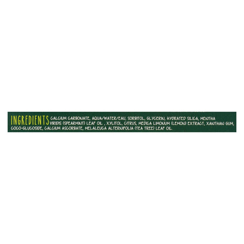 Green Beaver,the Toothpaste - Spearmint Toothpaste - Case Of 1 - 2.5 Fl Oz.